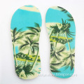 2014 Summer Beach Latest Women Sandal (DYNSS-0007)